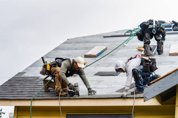 Professional Gutter Installation technician working in Herman, MN